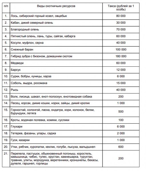 Штраф за сбитого лося