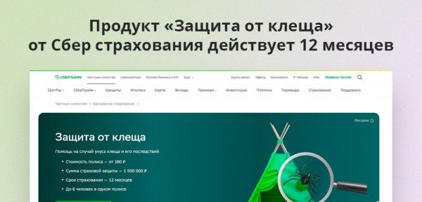 Страховка от клеща в 2024 году